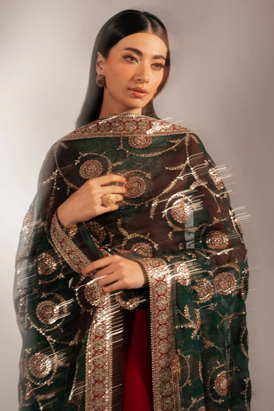 Woman wearing a traditional anarkali outfit with a maroon top and black dupatta with gold embroidery on a neutral backgroundWoman wearing a traditional anarkali outfit with a maroon top and black dupatta with gold embroidery on a neutral background