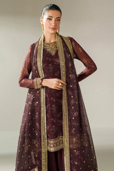 Woman wearing a traditional salwar suit outfit with a long embroidered kameez and matching salwar on a plain backgroundWoman wearing a traditional salwar suit outfit with a long embroidered kameez and matching salwar on a plain background