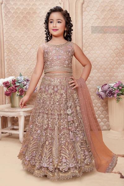 Blush Pink Girls Embroidered Net Lehenga SetBlush Pink Girls Embroidered Net Lehenga Set
