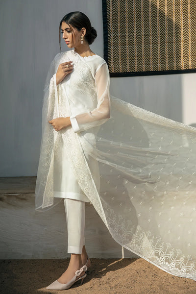 Buy Ivory Embroidered Chiffon Dupatta at PinkPhulkari CaliforniaBuy Ivory Embroidered Chiffon Dupatta at PinkPhulkari California