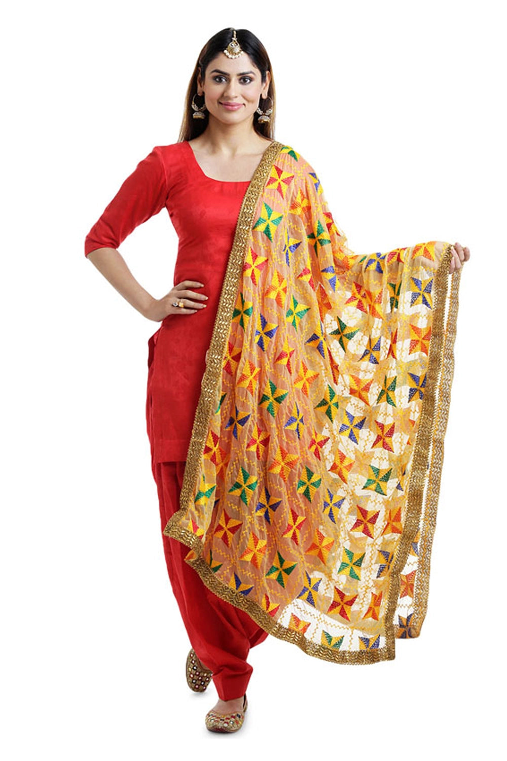 Multi Colored Beige Phulkari Dupatta at best price in New Delhi