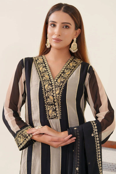 Black Organza Embroidered Stripe Pattern Kurta Pant & Dupatta SetBlack Organza Embroidered Stripe Pattern Kurta Pant & Dupatta Set