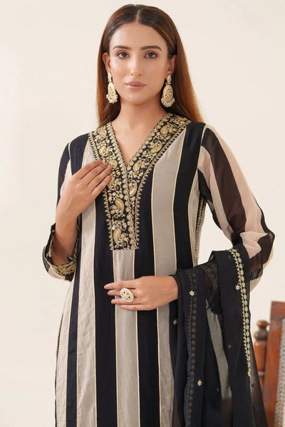 Black Organza Embroidered Stripe Pattern Kurta Pant & Dupatta SetBlack Organza Embroidered Stripe Pattern Kurta Pant & Dupatta Set