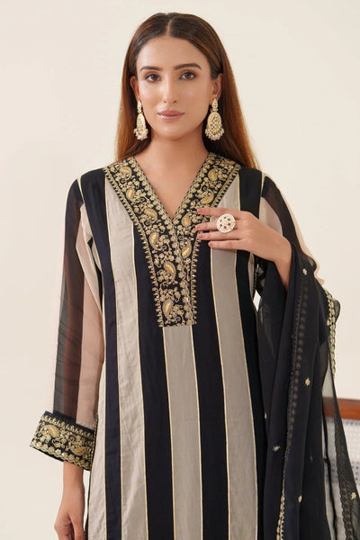 Black Organza Embroidered Stripe Pattern Kurta Pant & Dupatta SetBlack Organza Embroidered Stripe Pattern Kurta Pant & Dupatta Set