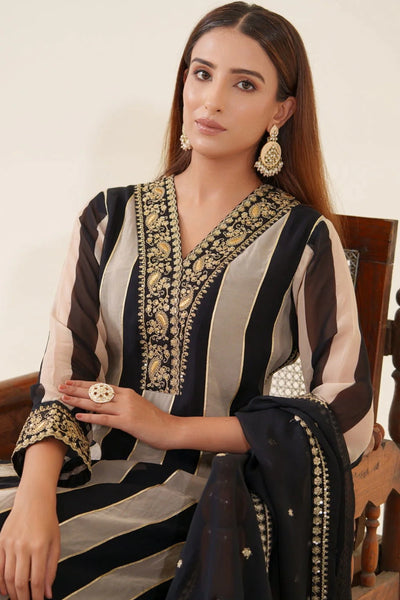 Black Organza Embroidered Stripe Pattern Kurta Pant & Dupatta SetBlack Organza Embroidered Stripe Pattern Kurta Pant & Dupatta Set