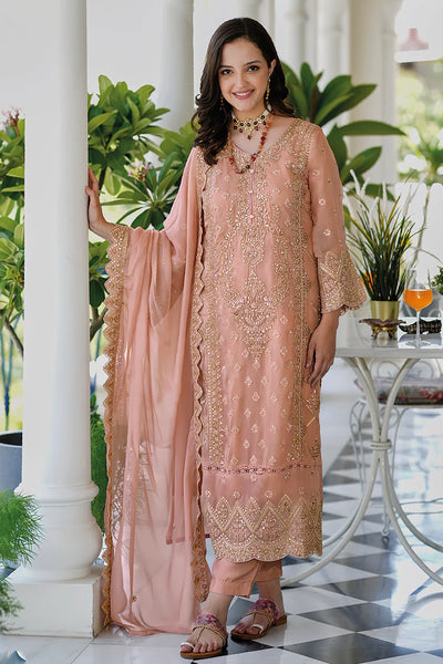 Peach Pink Heavy Embroidery Work Organza Suit at PinkPhulkari Peach Pink Heavy Embroidery Work Organza Suit at PinkPhulkari 